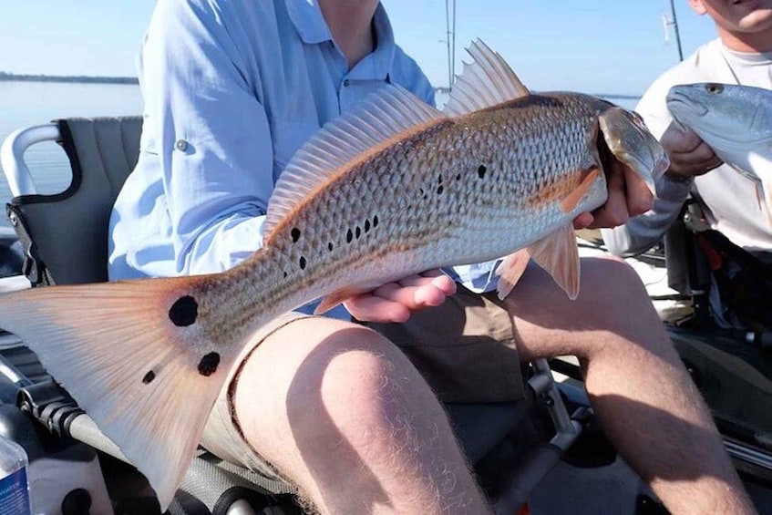 Picture 2 for Activity New Orleans: Kayak Fishing Charter in Bayou Bienvenue