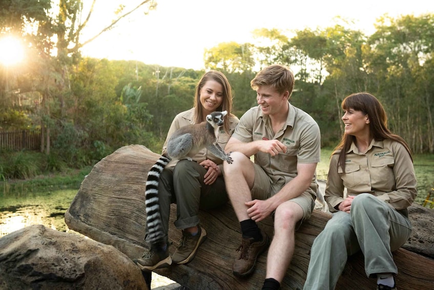 Picture 6 for Activity From Sunshine Coast: Australia Zoo Entry Ticket and Transfer