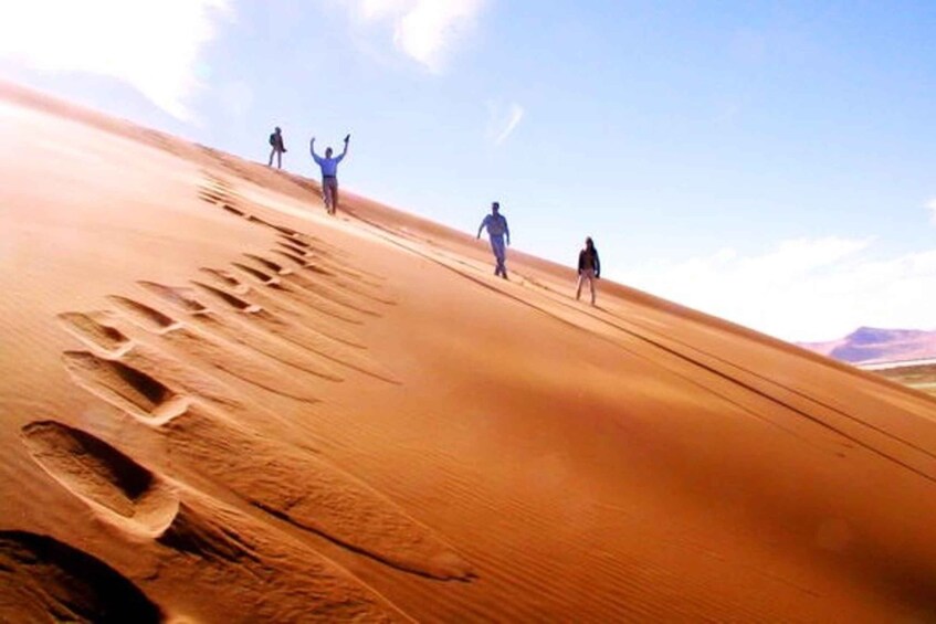 Picture 9 for Activity From Doha: Full-Day Desert Safari, Camel Ride & Dune Bashing