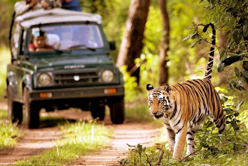 Picture 3 for Activity From Kathmandu: 3-Day Chitwan National Park Tour