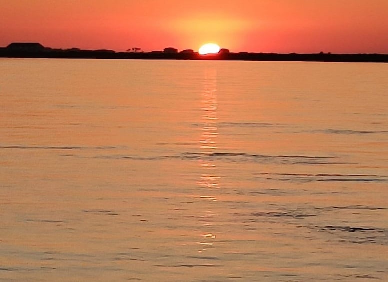 Picture 12 for Activity Faro: Ria Formosa Guided Sunset Tour by Catamaran