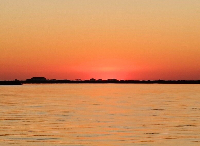 Picture 14 for Activity Faro: Ria Formosa Guided Sunset Tour by Catamaran