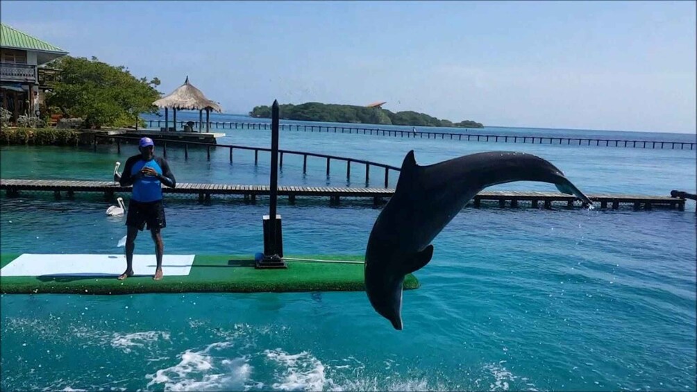 Picture 5 for Activity Full Day Baru Premium + Rosario Islands