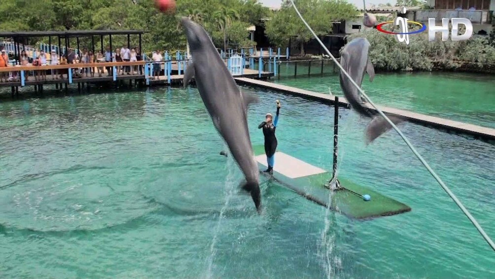 Picture 6 for Activity Full Day Baru Premium + Rosario Islands