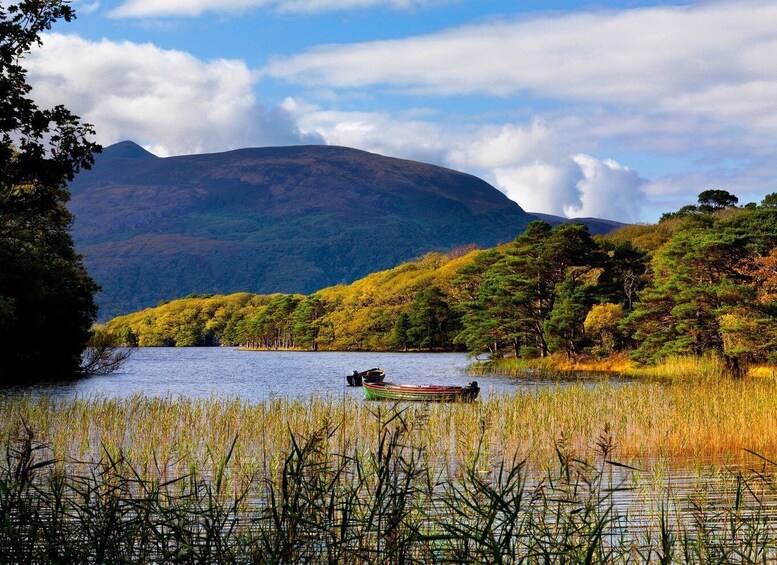 Picture 3 for Activity Ring of Kerry Full-Day Tour from Limerick