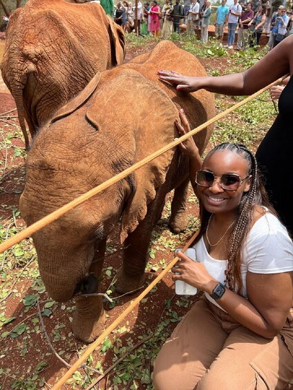 Picture 11 for Activity From Nairobi: Elephant Orphanage and Giraffe Center Tour