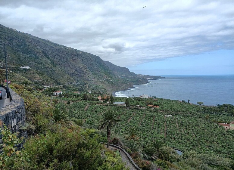 Picture 13 for Activity Tenerife: North Coast Landscapes Private Day Tour
