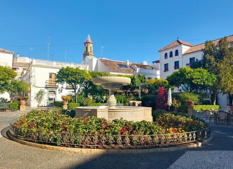 Picture 4 for Activity From Marbella: Guided Private Trip to Gibraltar and Estepona