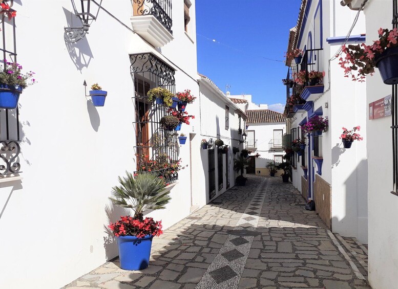 Picture 11 for Activity From Marbella: Guided Private Trip to Gibraltar and Estepona