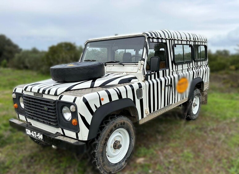 Picture 4 for Activity From Cabo Espichel to Lagoa Jeep Tour