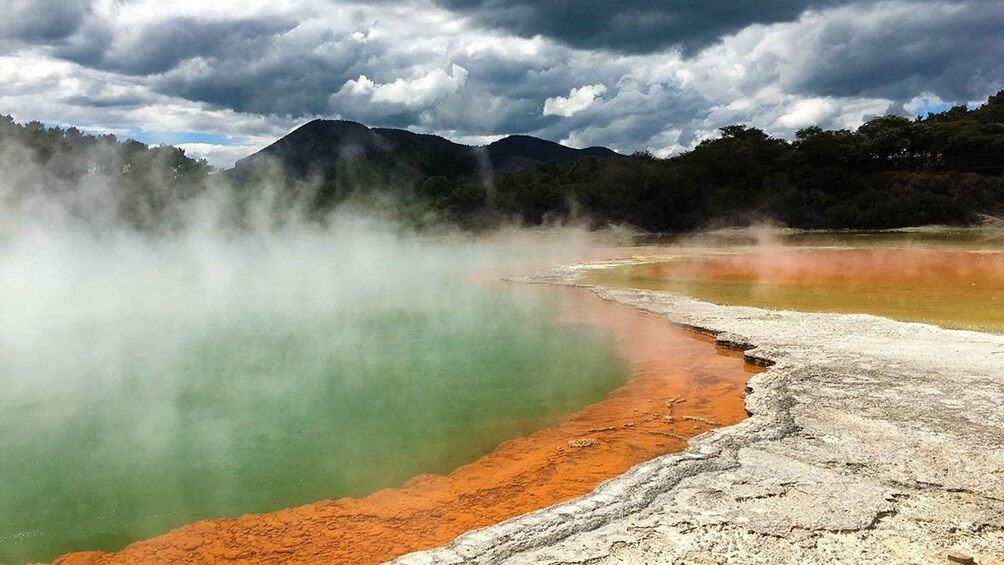 Picture 4 for Activity Auckland: Hobbiton, Rotorua and Wai-O-Tapu Day Tour