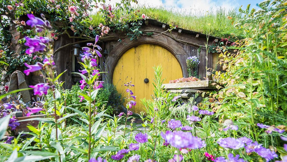 Picture 3 for Activity Auckland: Hobbiton, Rotorua and Wai-O-Tapu Day Tour