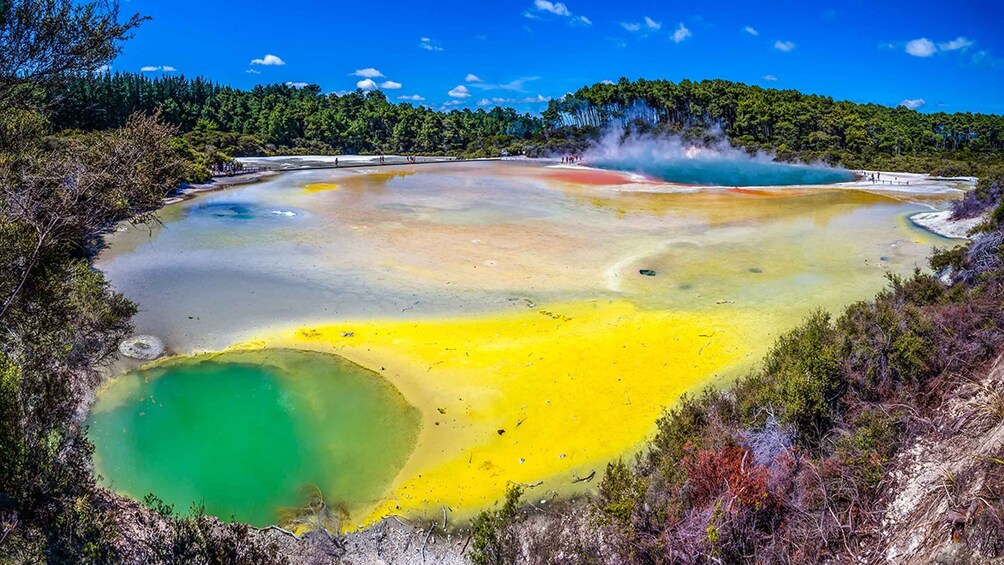 Picture 2 for Activity Auckland: Hobbiton, Rotorua and Wai-O-Tapu Day Tour