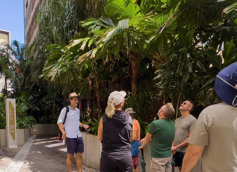 Picture 2 for Activity Brisbane: Best of Brisbane Walking Tour