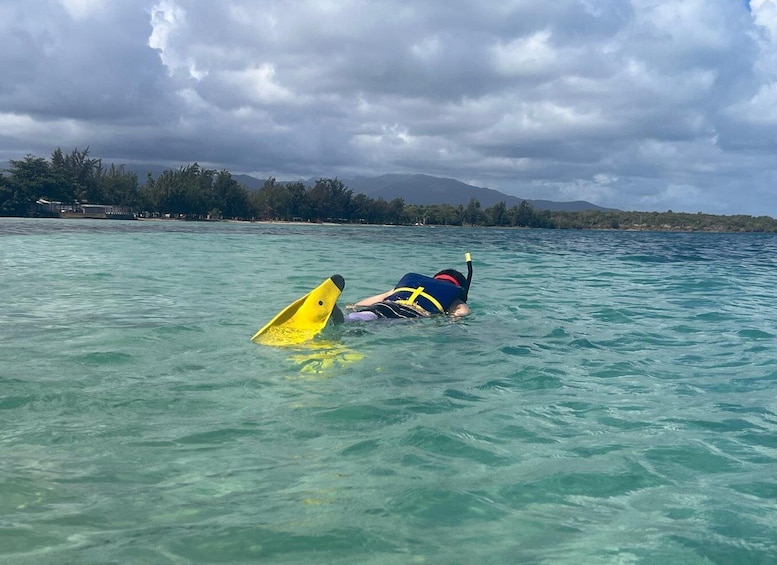 Picture 3 for Activity Snorkeling Lessons & Interactive Experience with snacks