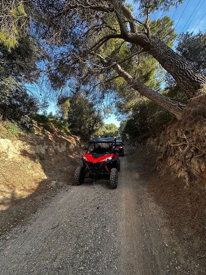 Picture 15 for Activity Salou: Buggy Safari with Hotel Transfer