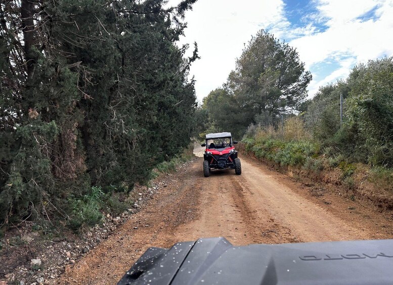 Picture 16 for Activity Salou: Buggy Safari with Hotel Transfer