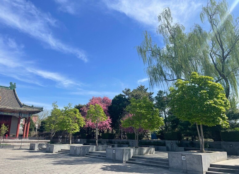 Picture 4 for Activity Taiji class in hutong yard