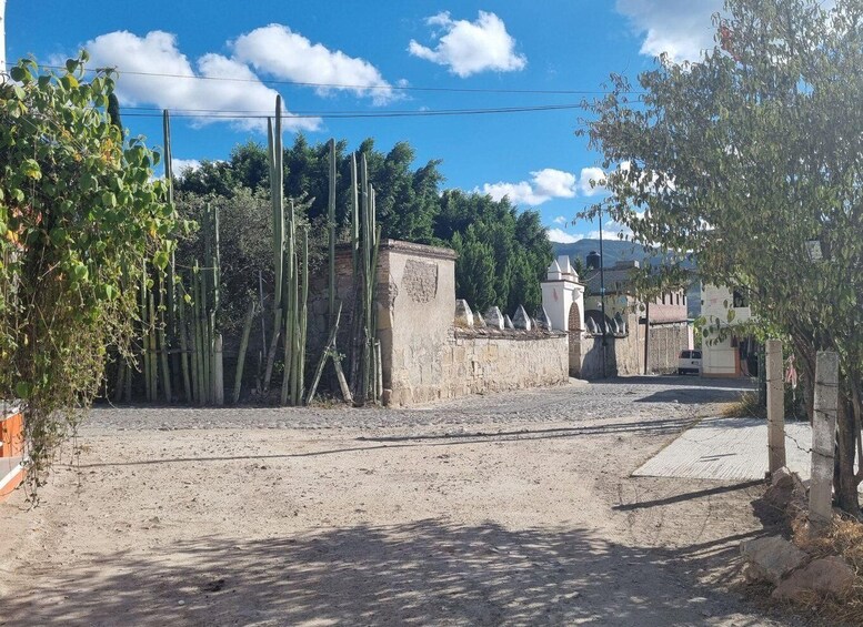 Picture 15 for Activity Private Mitla, Hirve al agua and Mezcal Tour with Lunch