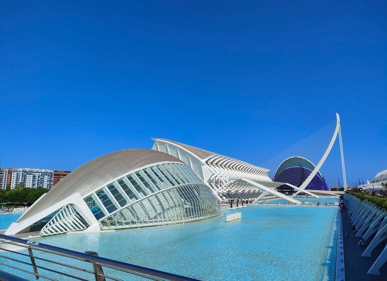 Picture 2 for Activity City of Arts and Sciences Private Bike tour