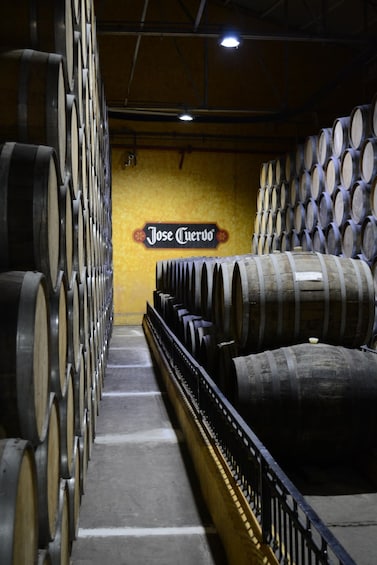 Picture 13 for Activity From Guadalajara: Town of Tequila & Jose Cuervo Factory Tour