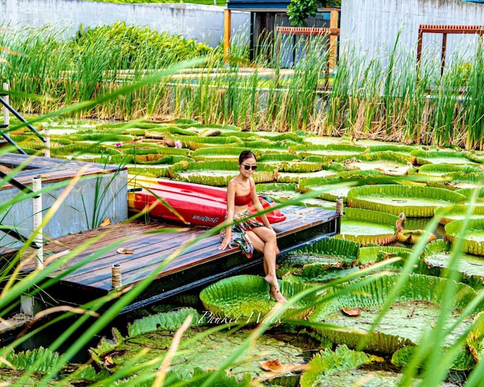 Picture 14 for Activity Phuket: Private & All-Inclusive Giant Water Lilies Tour