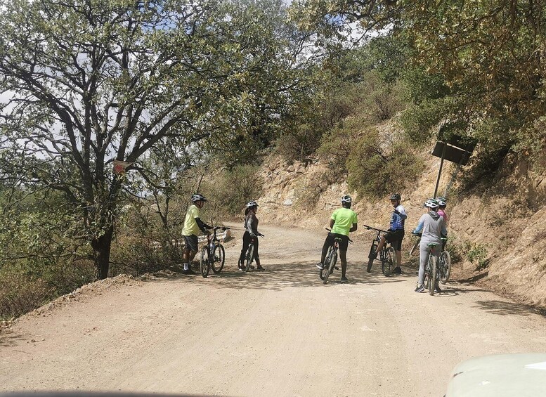 Picture 9 for Activity Guanajuato City: Bike Tour