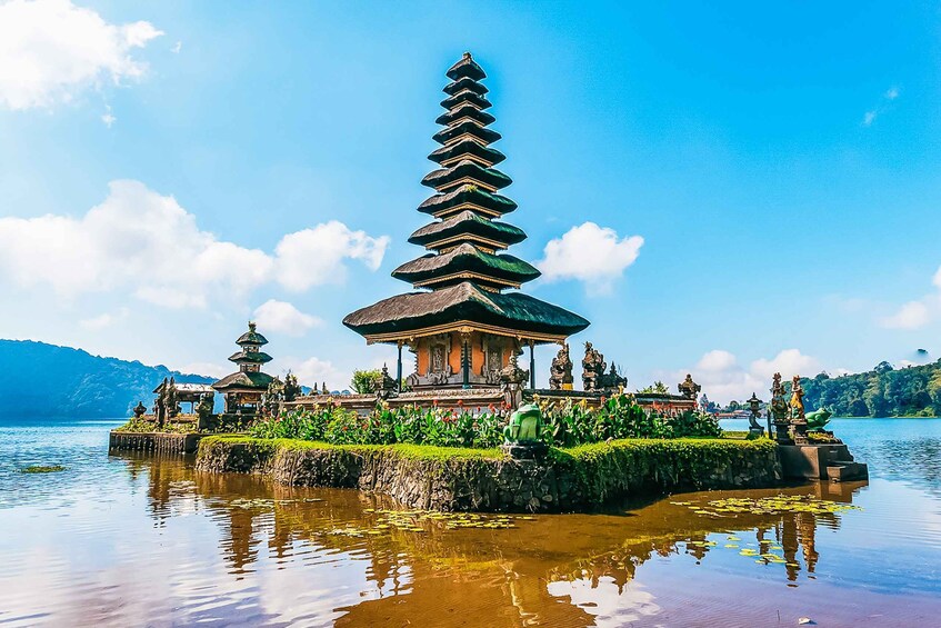 Picture 7 for Activity North Bali: Sunrise Tour with Dolphins, Waterfalls & Temples