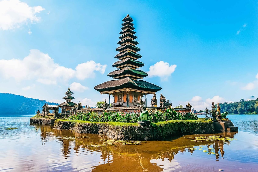 Picture 7 for Activity North Bali: Sunrise Tour with Dolphins, Waterfalls & Temples