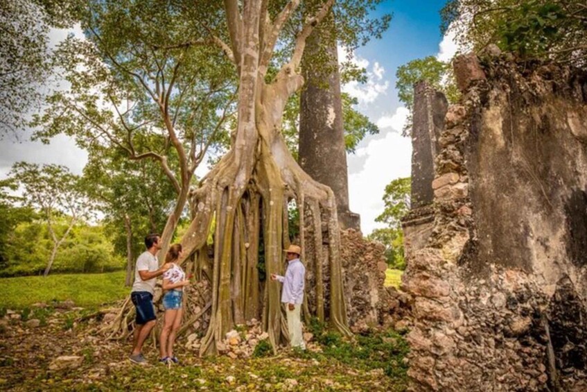 Picture 4 for Activity Uxmal Private Vintage Land Rover Tour with Mayan Breakfast