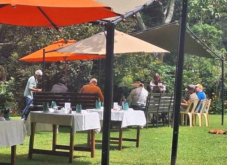 Picture 9 for Activity Nairobi: Tea Farm Day Trip with Lunch at kiambethu