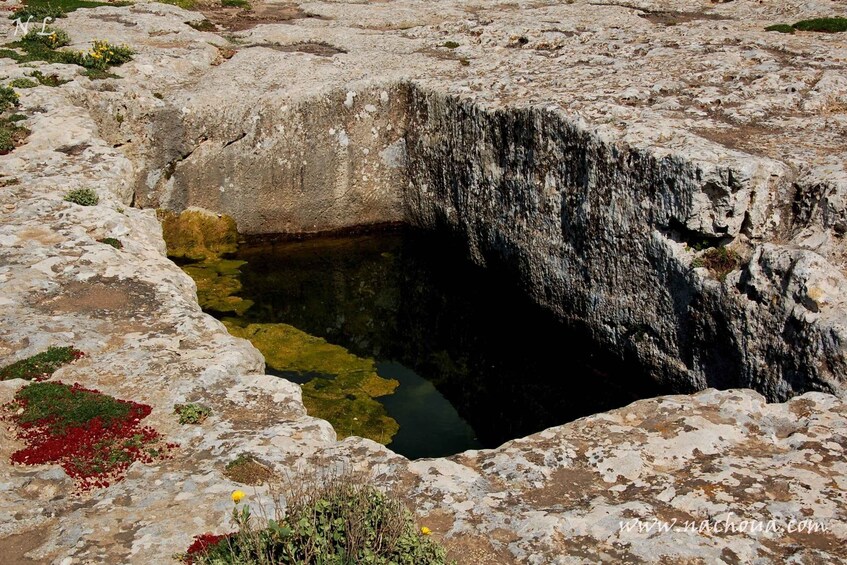 Picture 4 for Activity From Tunis: Day Trip to Kef & Jugurtha Tableland with Lunch