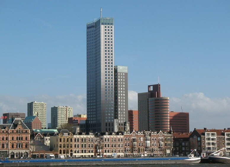 Picture 2 for Activity Rotterdam: Private Tour with a Local