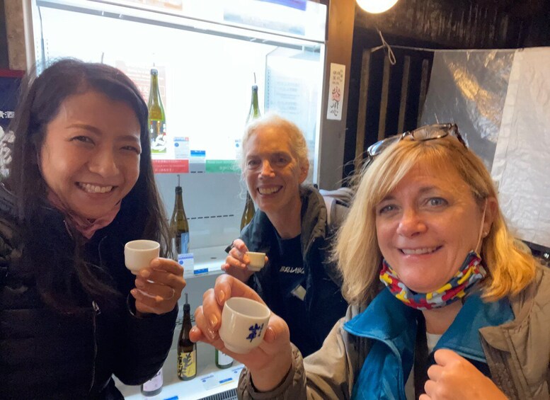 Takayama: Private Walking Tour with a Local Guide