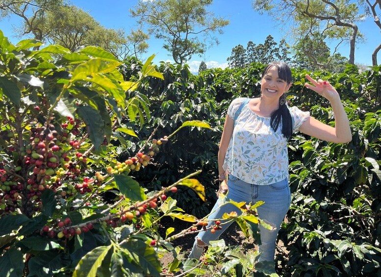 Picture 1 for Activity Alajuela: Coffee Plantation Guided Tour with Tasting