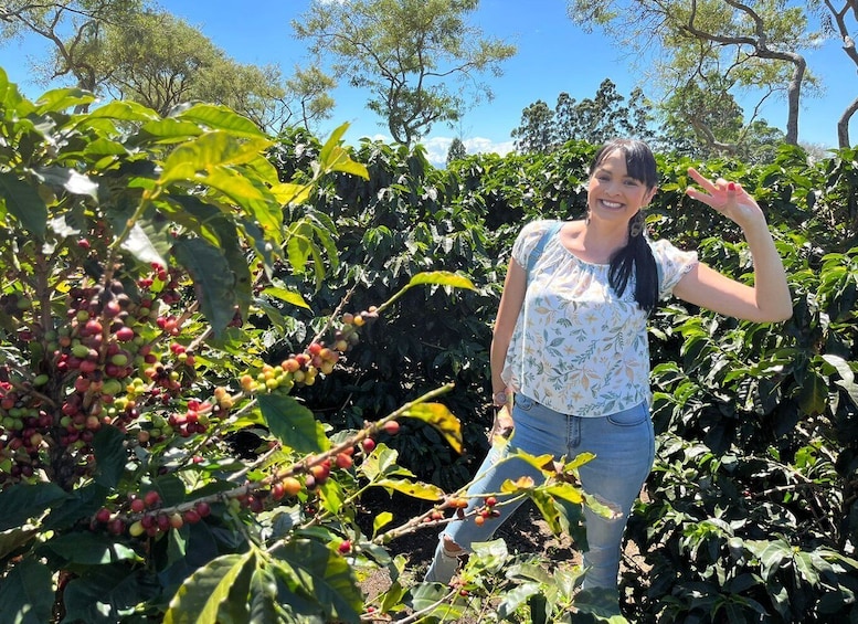Picture 1 for Activity Alajuela: Coffee Plantation Guided Tour with Tasting