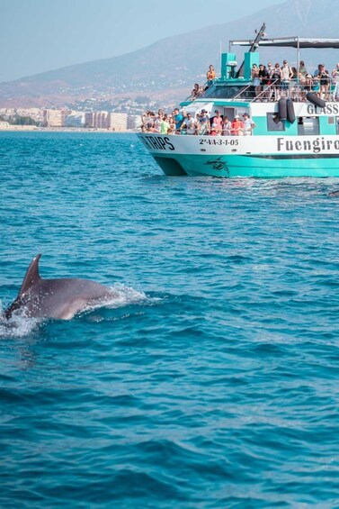 Picture 11 for Activity Fuengirola: Catamaran Tour to Spot Dolphins