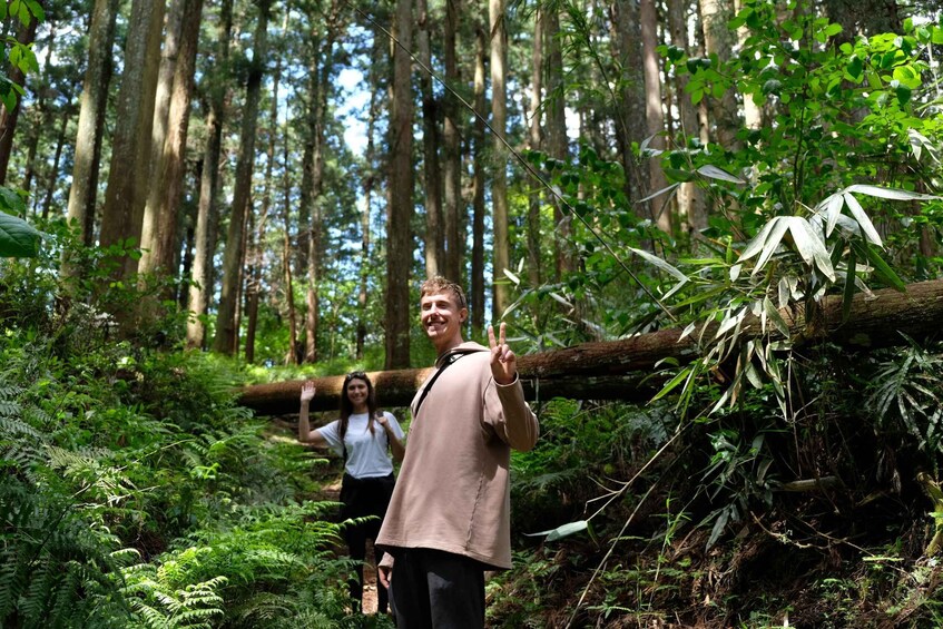 Picture 22 for Activity Fm Odawara: Forest bathing and onsen with healing power