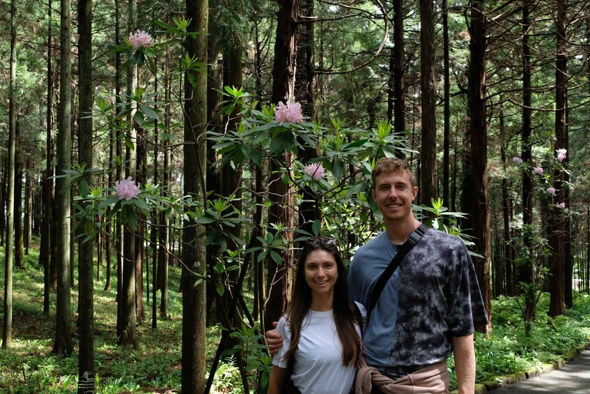 Picture 21 for Activity Fm Odawara: Forest bathing and onsen with healing power