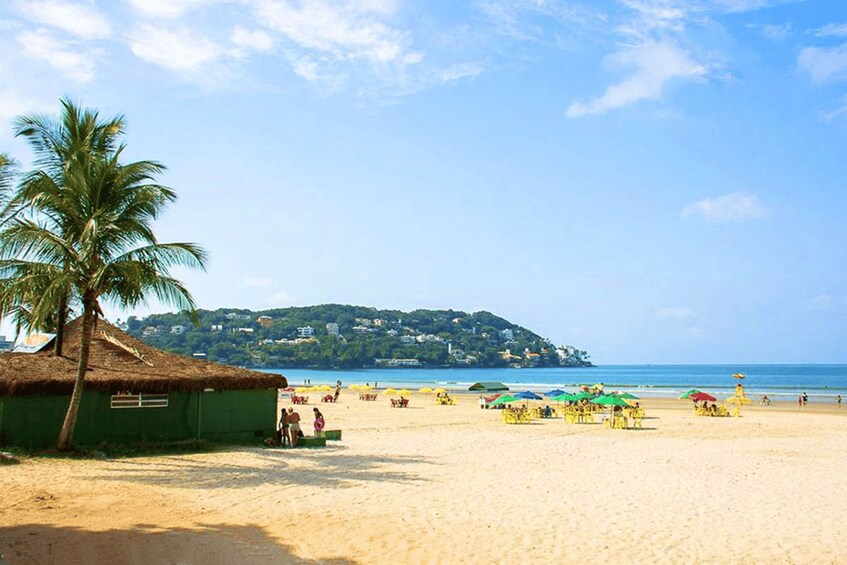 Picture 1 for Activity Full Day Beach Tour Santos & Guarujá: Culture & Beaches