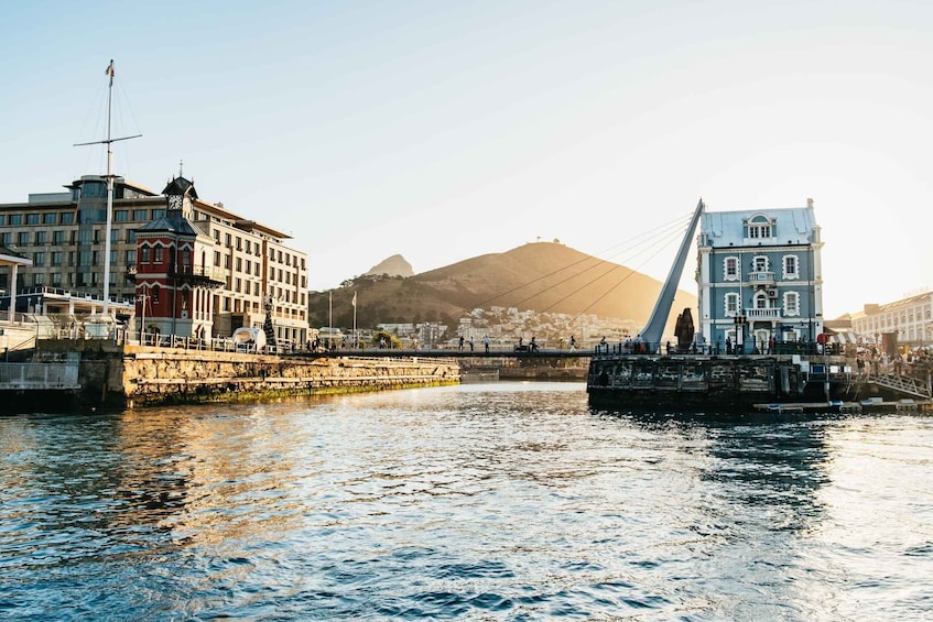 Picture 11 for Activity Cape Town: Sunset Cruise by Catamaran to Table Bay