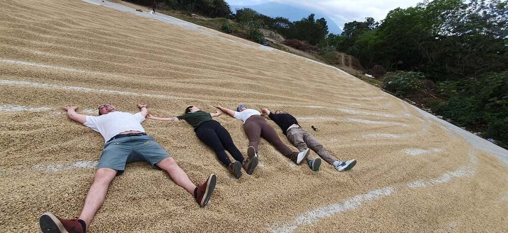 Picture 7 for Activity Antigua ATV Coffee tour