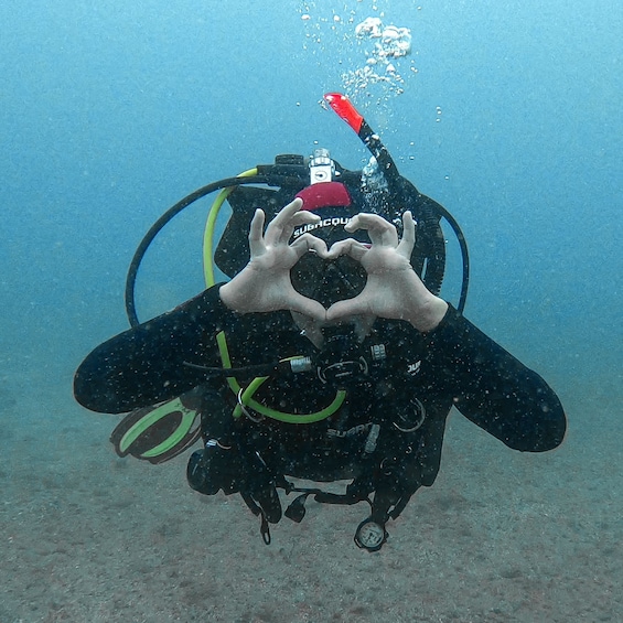 Picture 3 for Activity Fuerteventura: Introductory Dive in La Lajita with Pickup