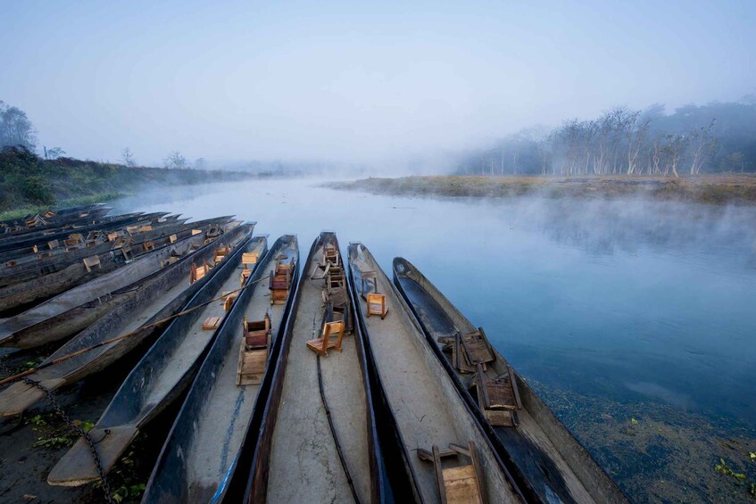 Picture 8 for Activity luxury Chitwan Jungle safari 4 days tour