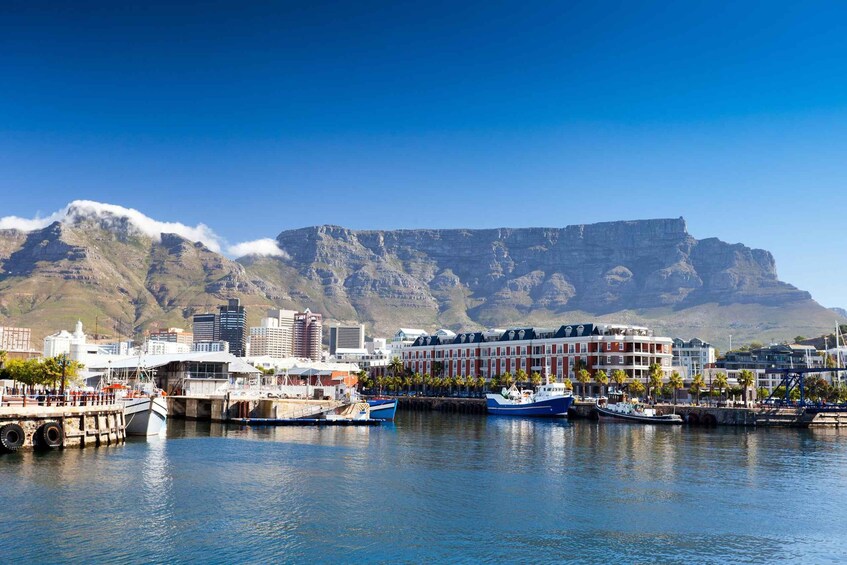 Picture 9 for Activity 3-Day Private Tour: Good Hope Table Mountain & Robben Island