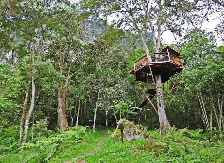 Picture 5 for Activity Birdwatching Day Tour at Chicaque Natural Park
