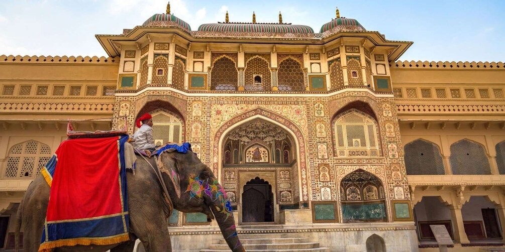Picture 6 for Activity Delhi: 7 Days Golden Triangle with Ranthambore & Varanasi