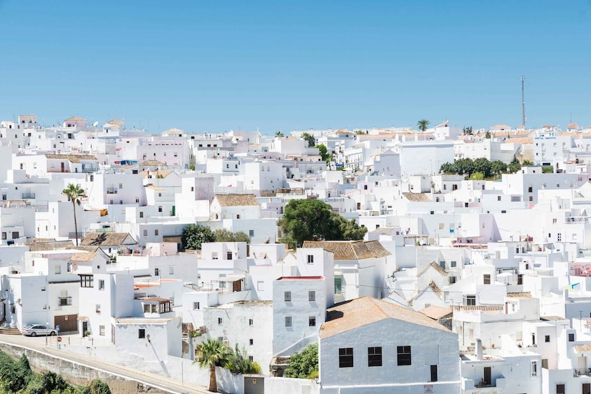 Vejer and Conil: Tour from Jerez, El Puerto, Cádiz, Chiclana