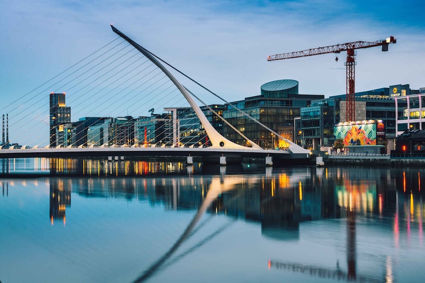 Picture 4 for Activity Dublin: Private Guided City Walking Tour