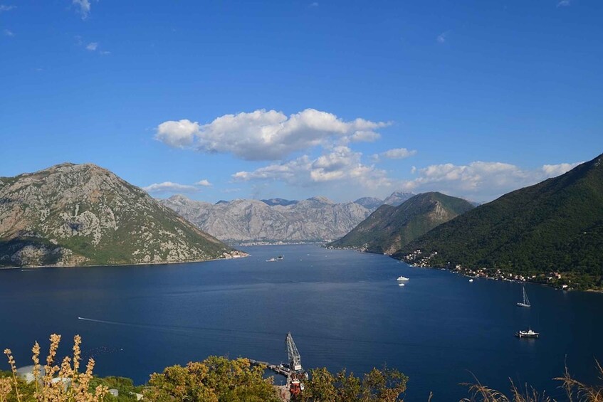 Picture 1 for Activity Bay of Kotor: 2-Hour Stand Up Paddle Board Tour